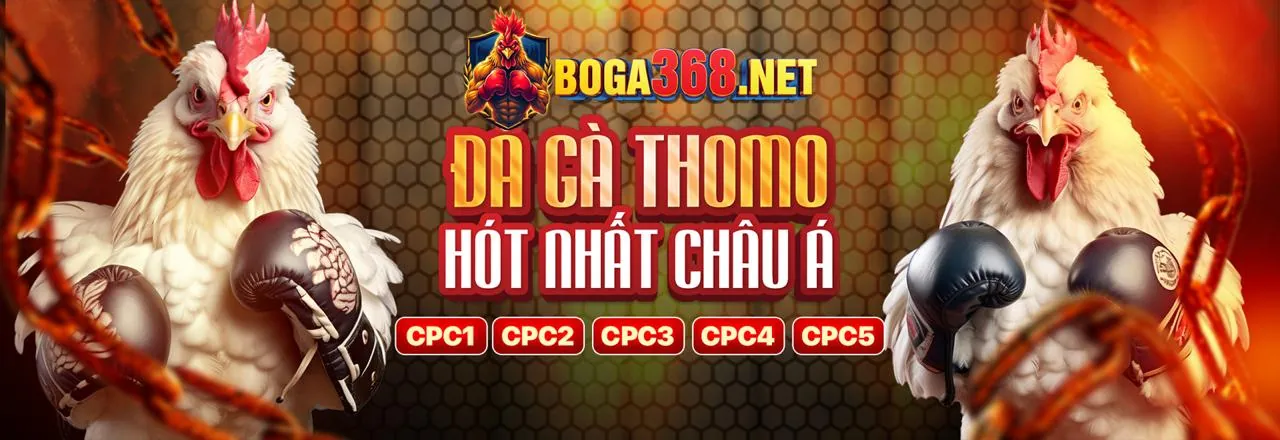 Đá Gà Trực Tuyến f789 game